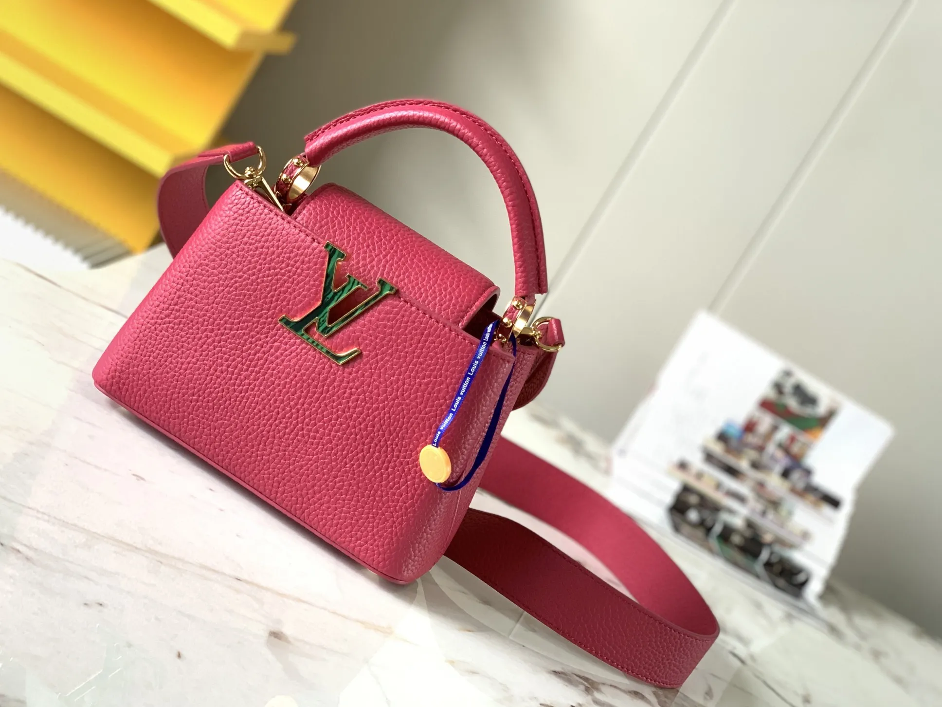 Louis Vuitton bag - LITELUX