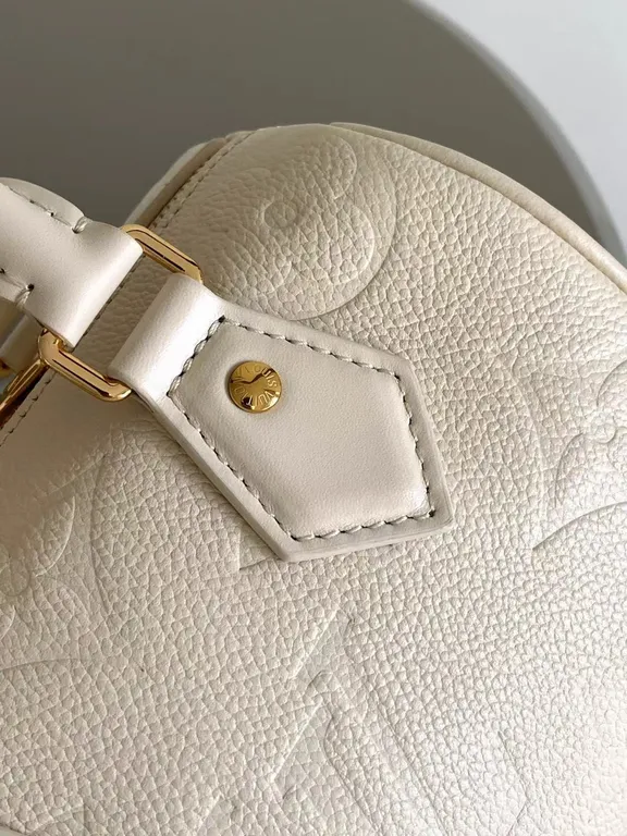 Louis Vuitton bag - LITELUX