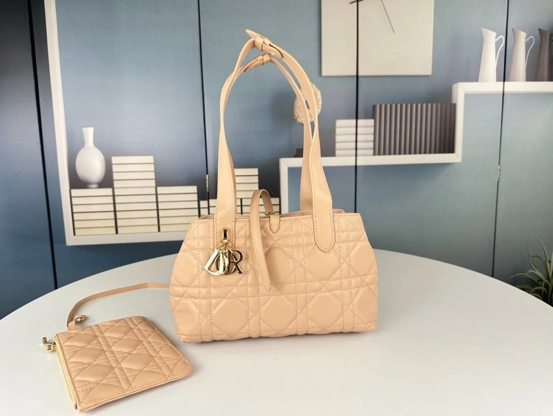 Dior toujours Handbag 2822 size: 23* 14 * 12 cm - LITELUX