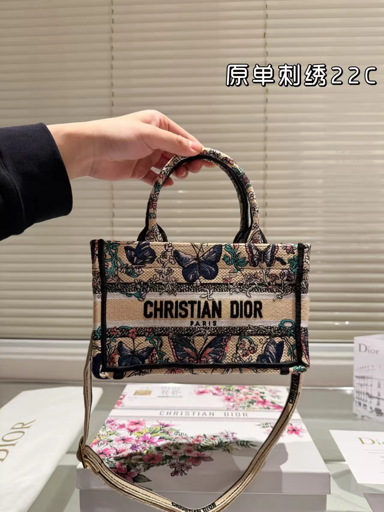 2025 Dior book tote - LITELUX