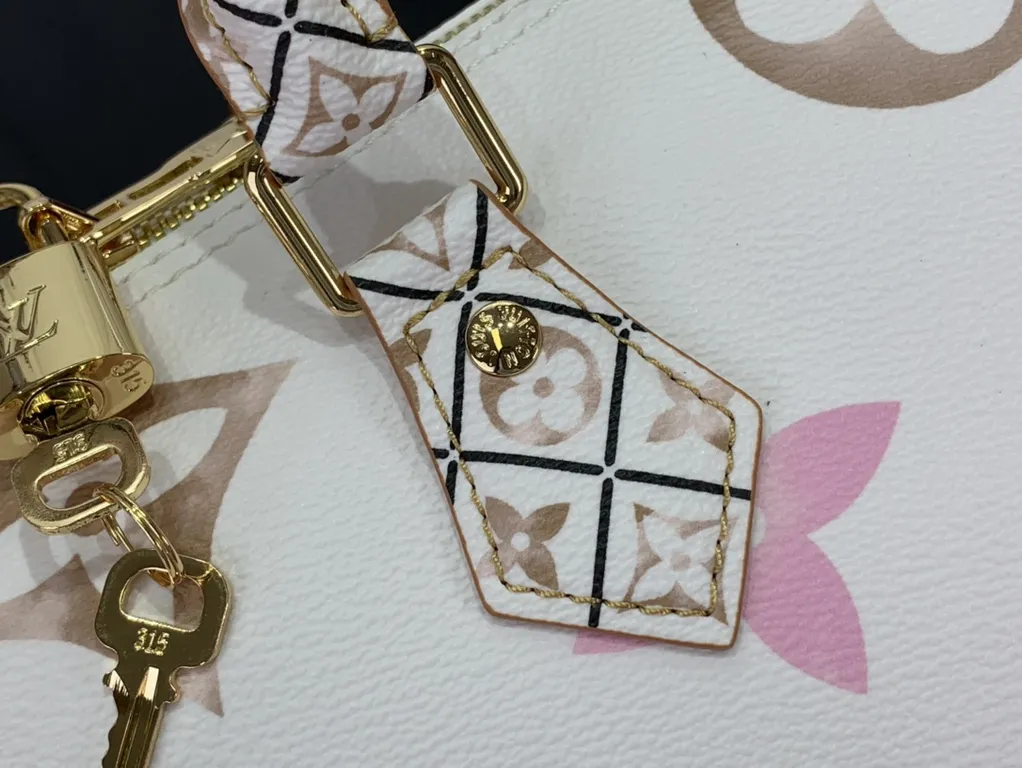 Louis Vuitton bag - LITELUX