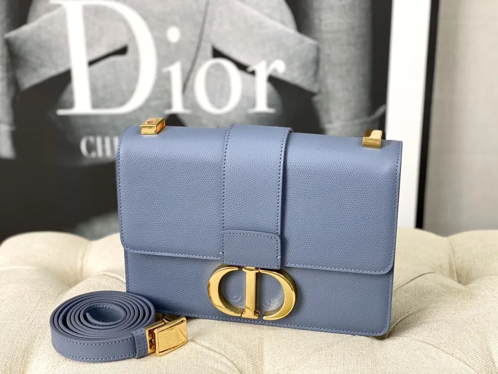 Dior bag - LITELUX