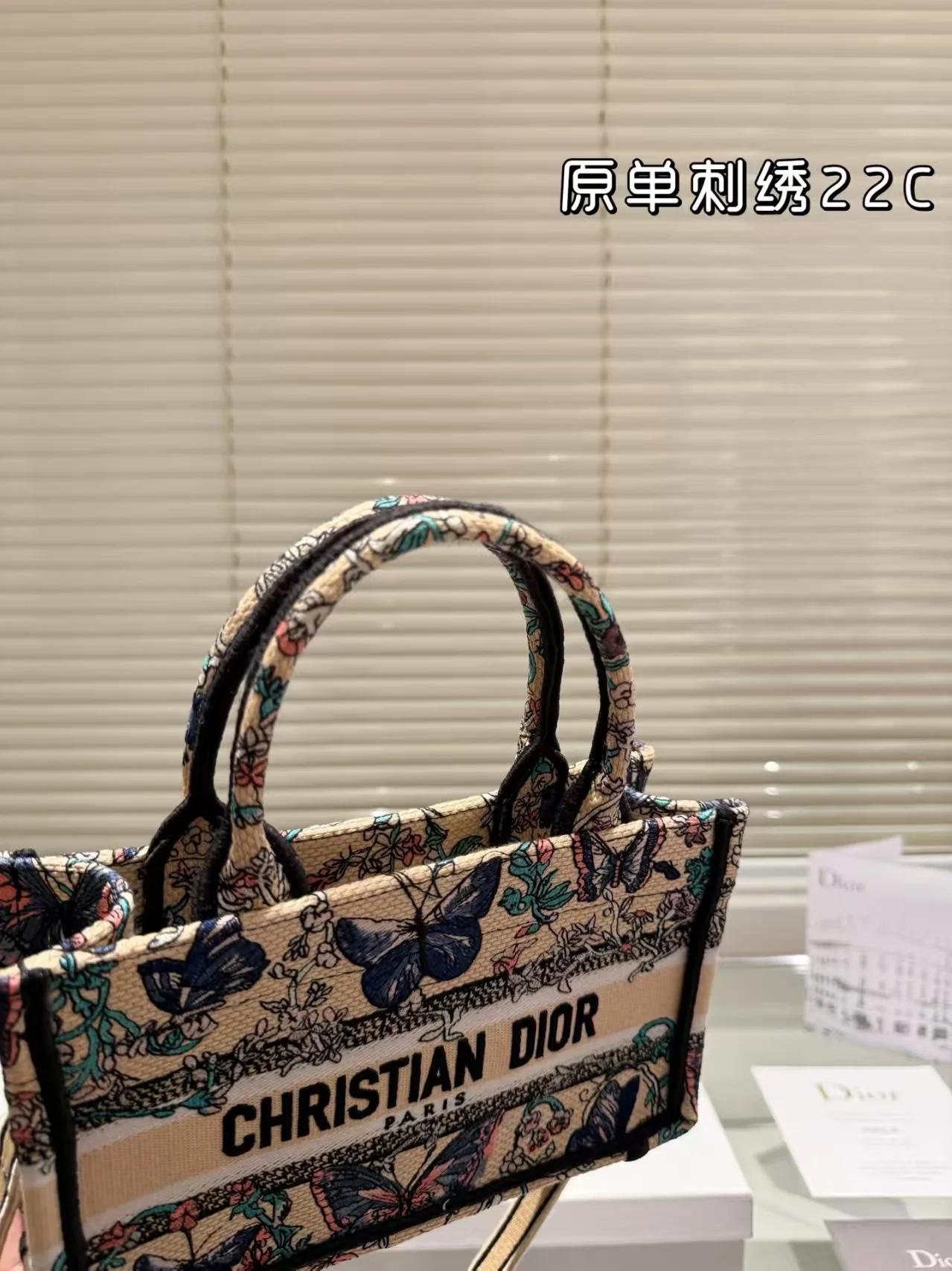 2025 Dior book tote - LITELUX