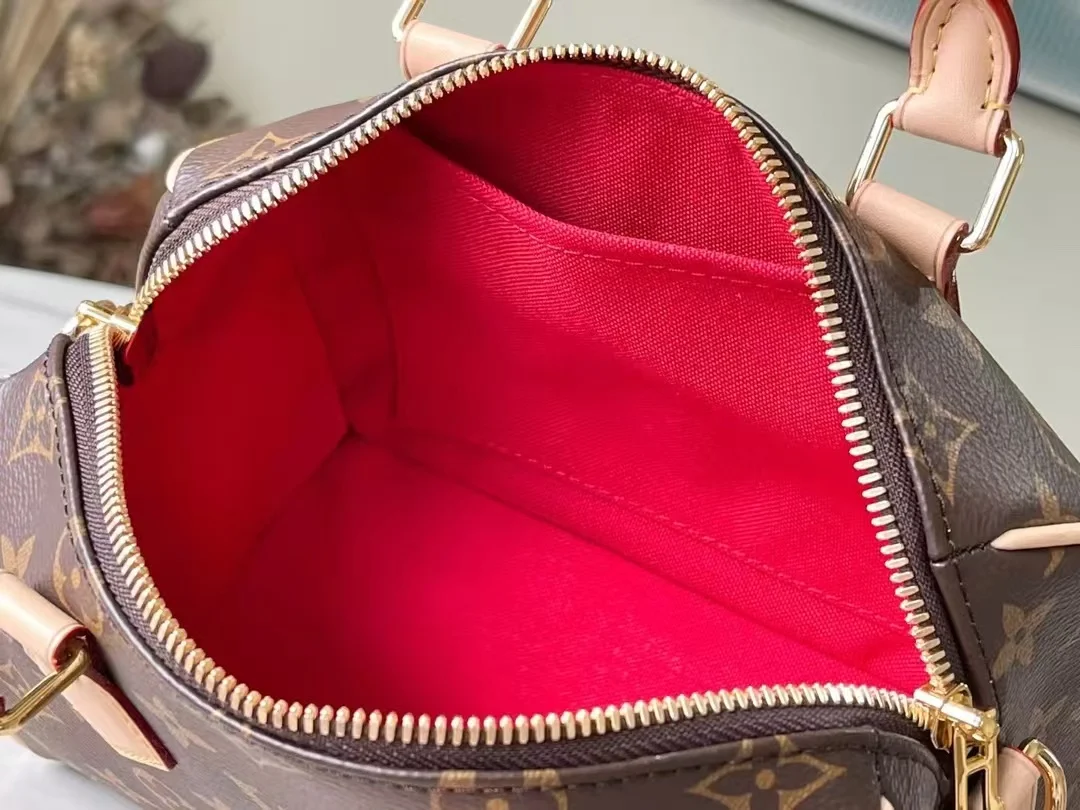 2025 Louis vuitton Speedy Bandoulière 20 - LITELUX