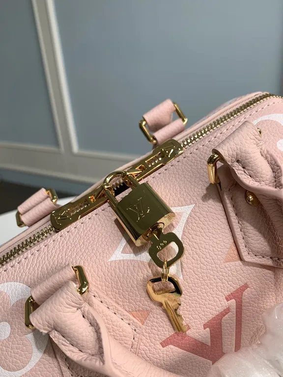 Louis Vuitton bag - LITELUX