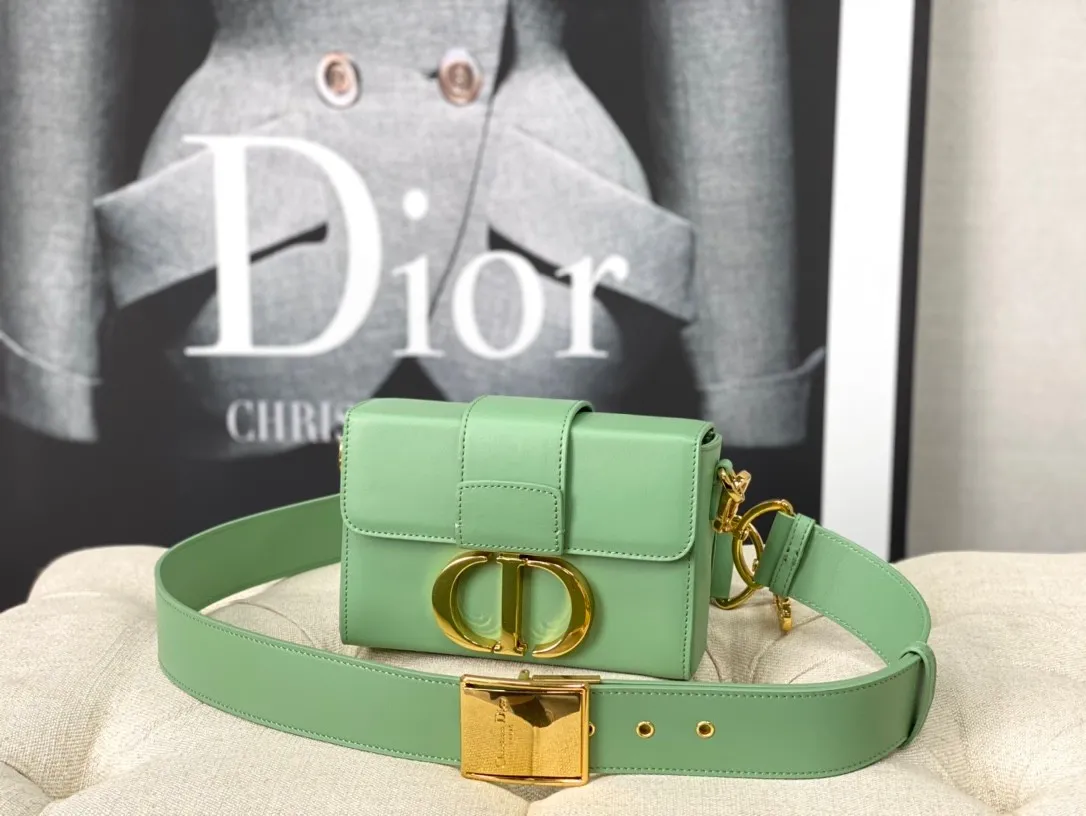Dior Bag  – 118287733 - LITELUX