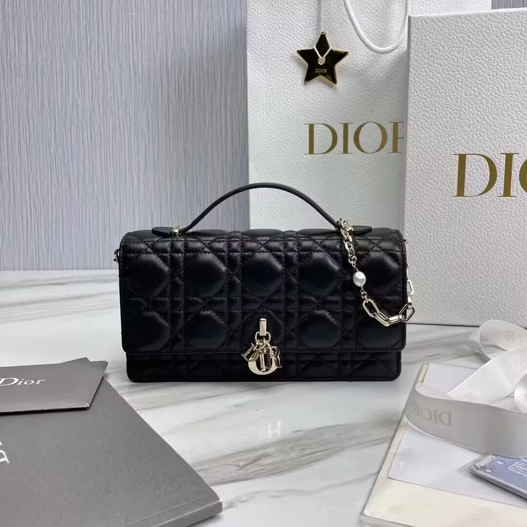 Dior bag - LITELUX