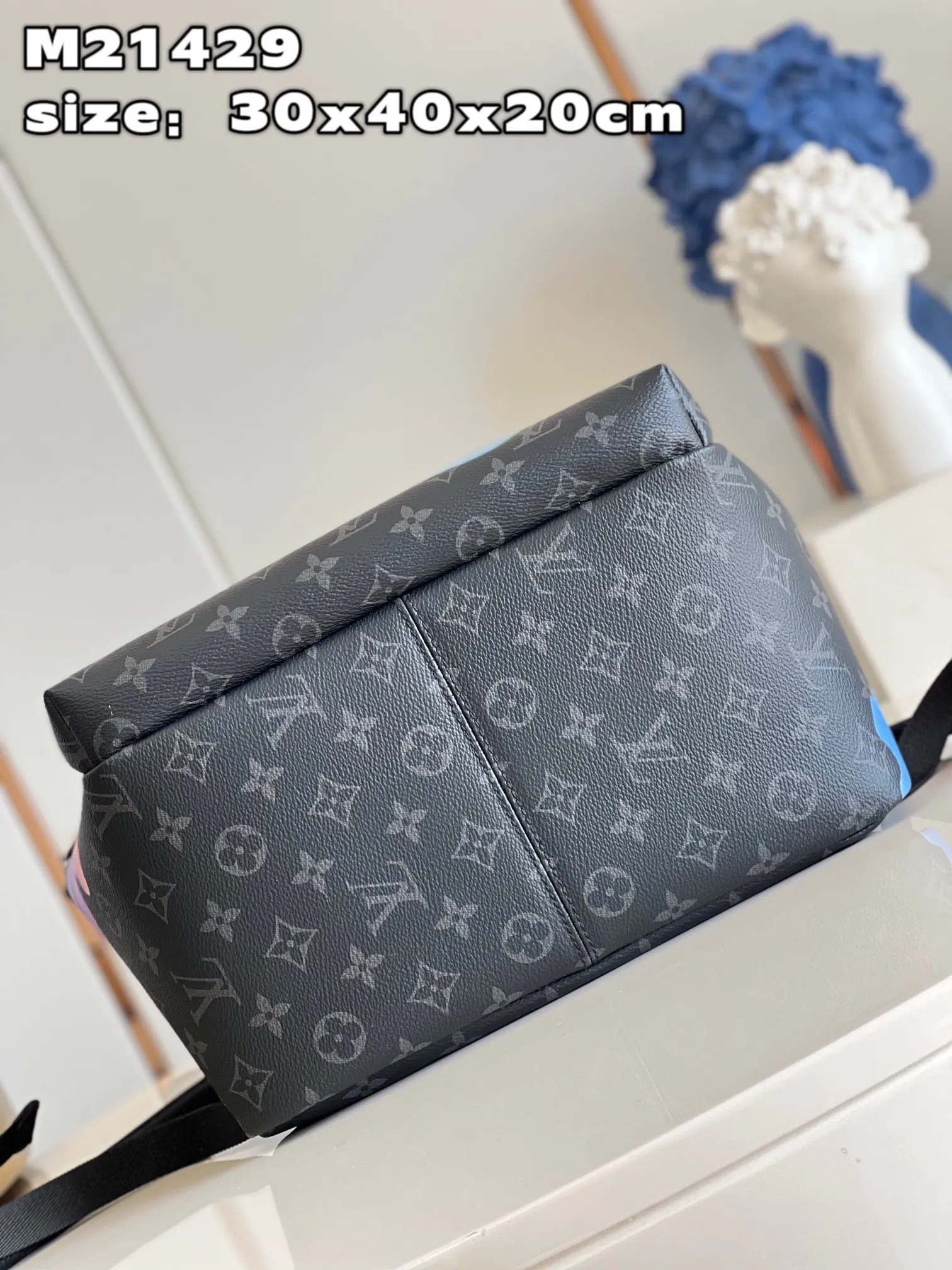 Louis Vuitton bag - LITELUX