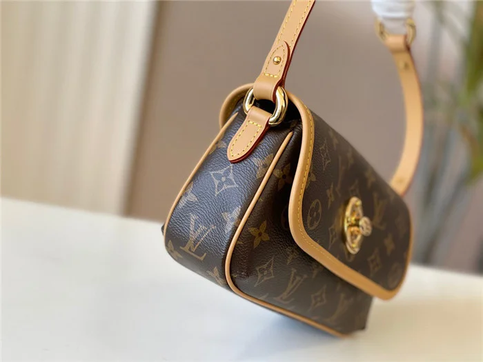 Louis Vuitton Bag - LITELUX