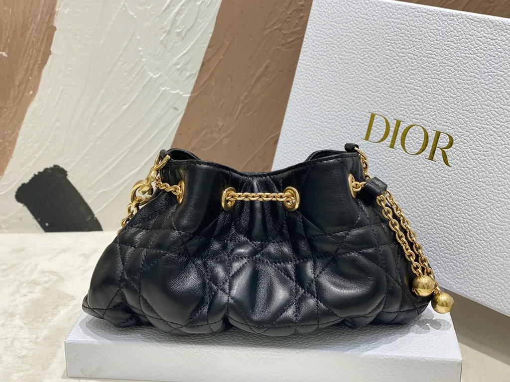 Dior bag - LITELUX