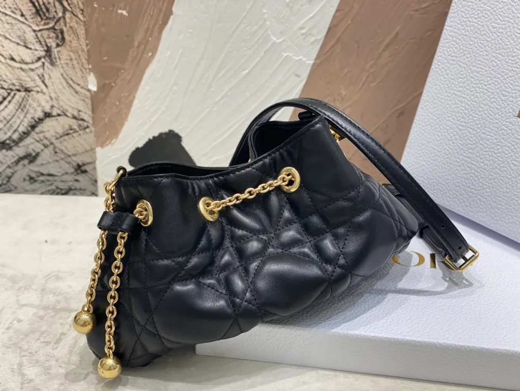 Dior bag - LITELUX