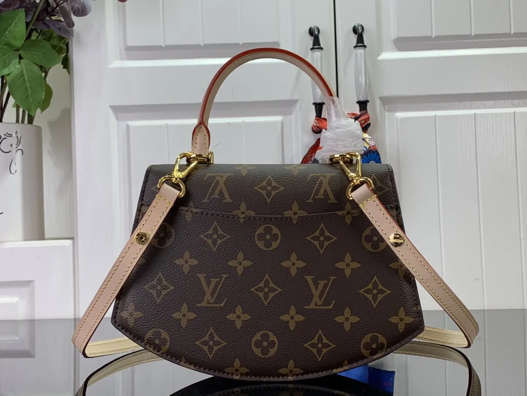 Louis Vuitton bag - LITELUX