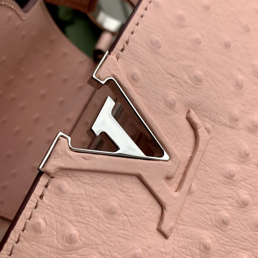 Louis Vuitton bag - LITELUX