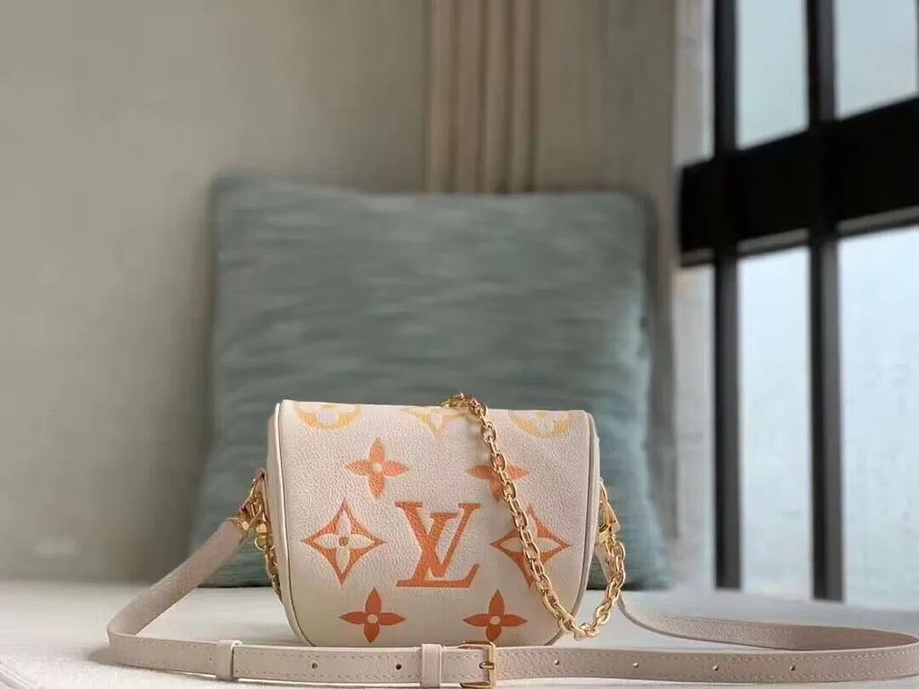 Louis Vuitton bag - LITELUX