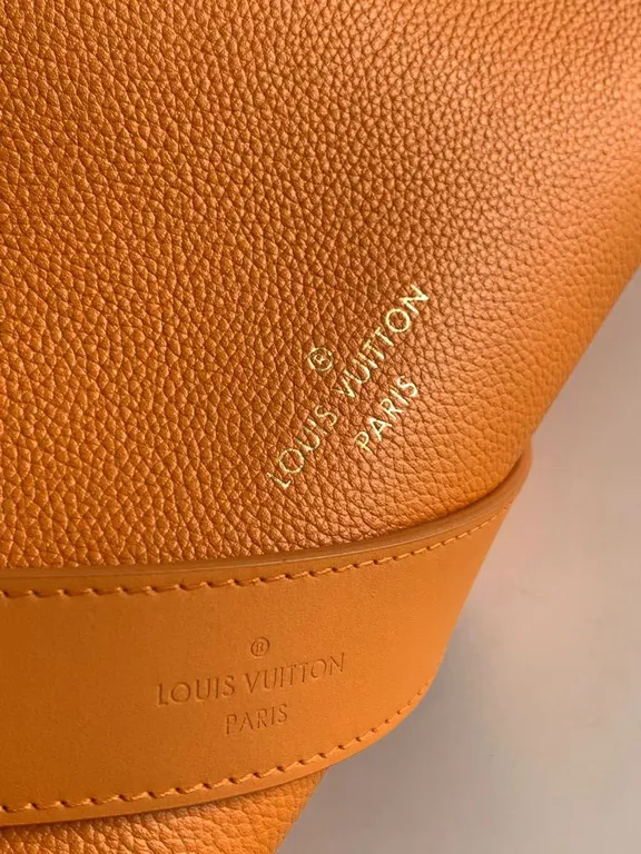 Louis Vuitton bag - LITELUX
