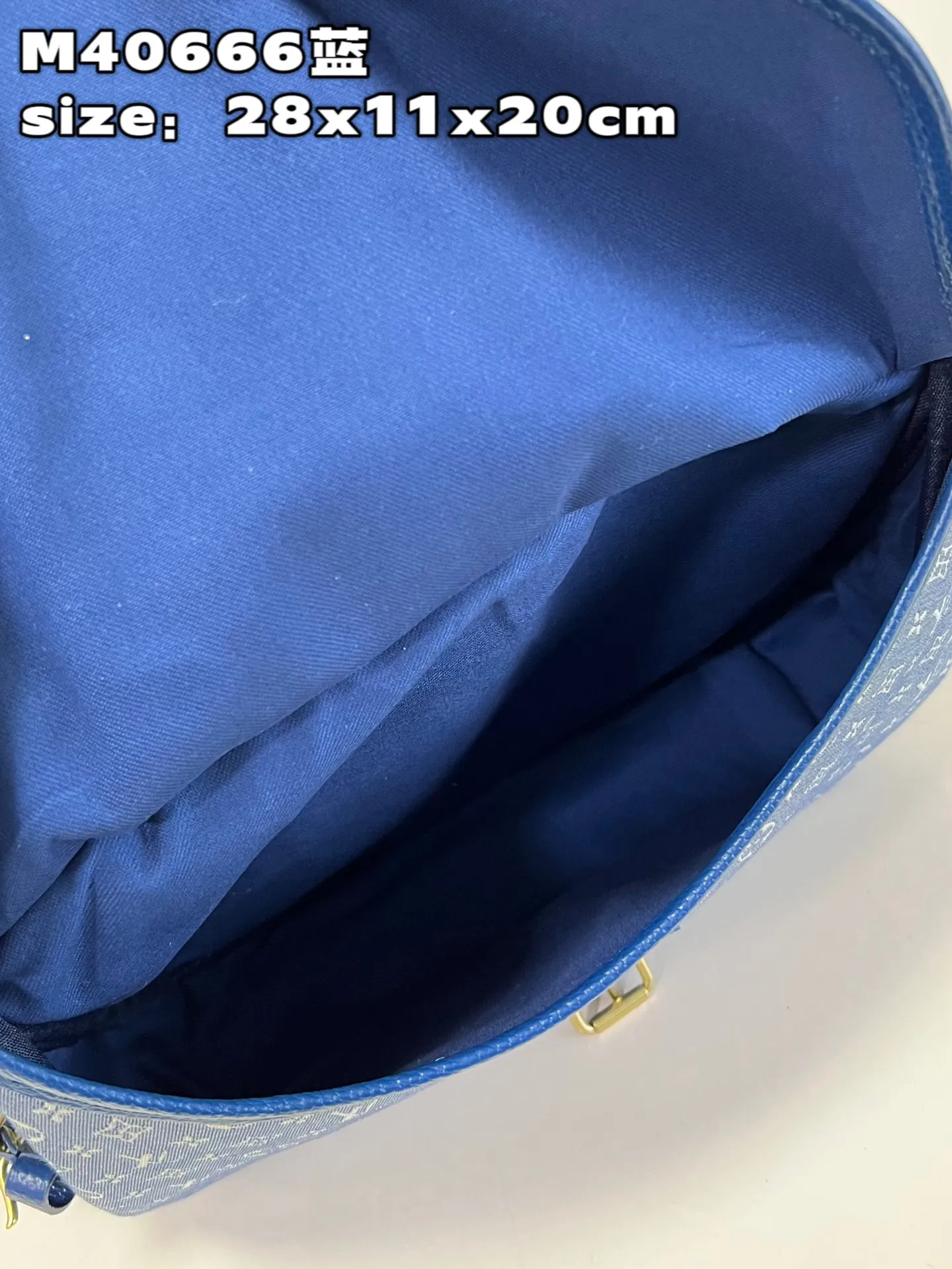 Louis Vuitton bag - LITELUX