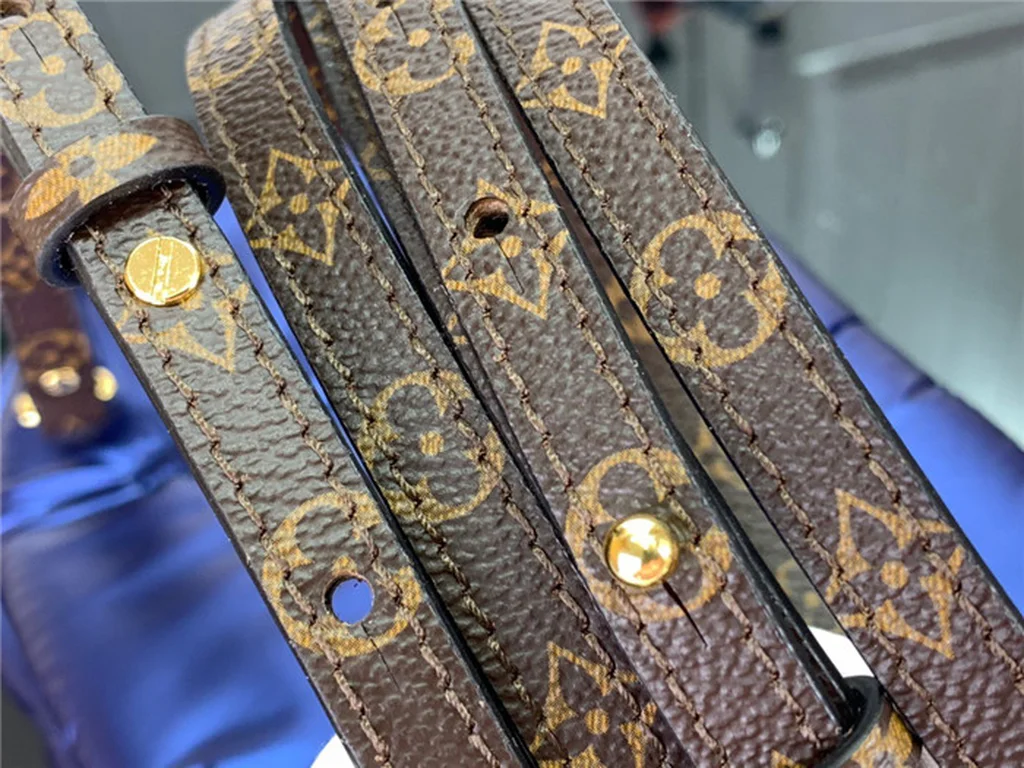 Louis Vuitton Backpack - LITELUX