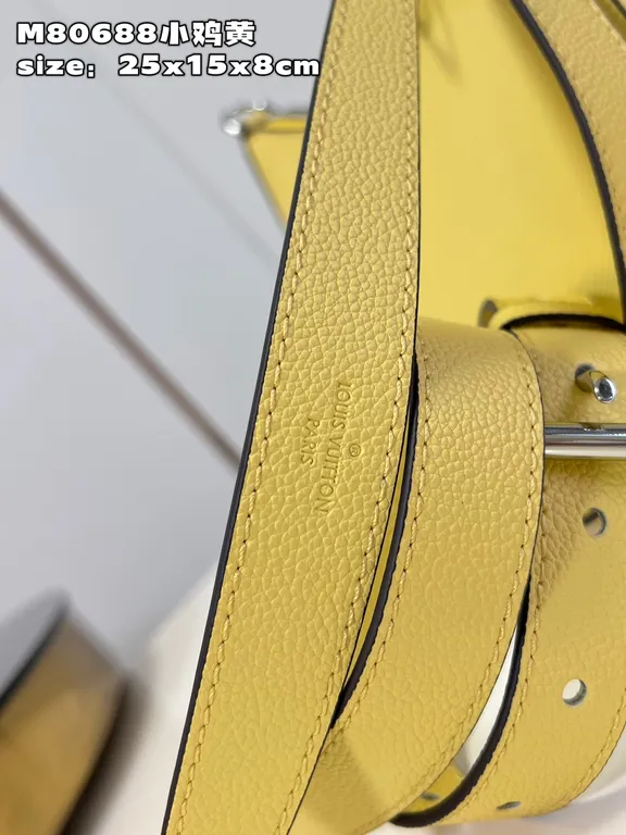 Louis Vuitton bag - LITELUX