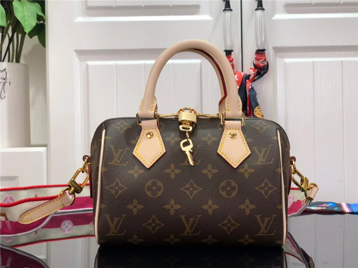 Louis Vuitton Bag - LITELUX