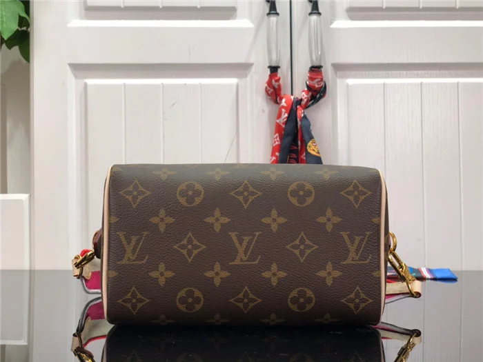 Louis Vuitton Bag - LITELUX