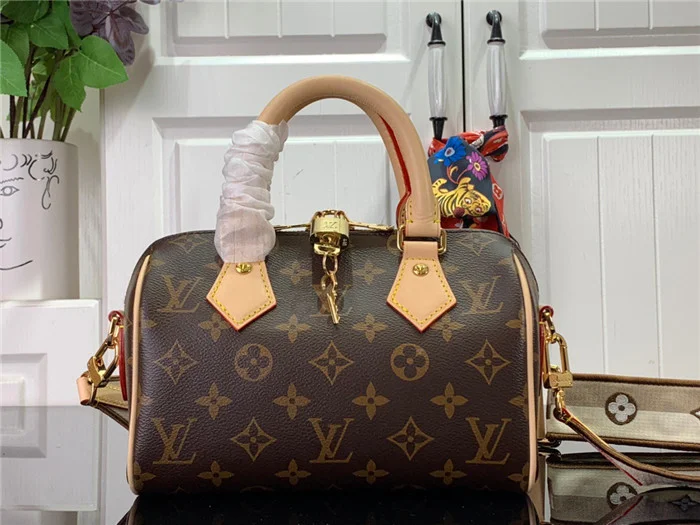Louis Vuitton Bag - LITELUX