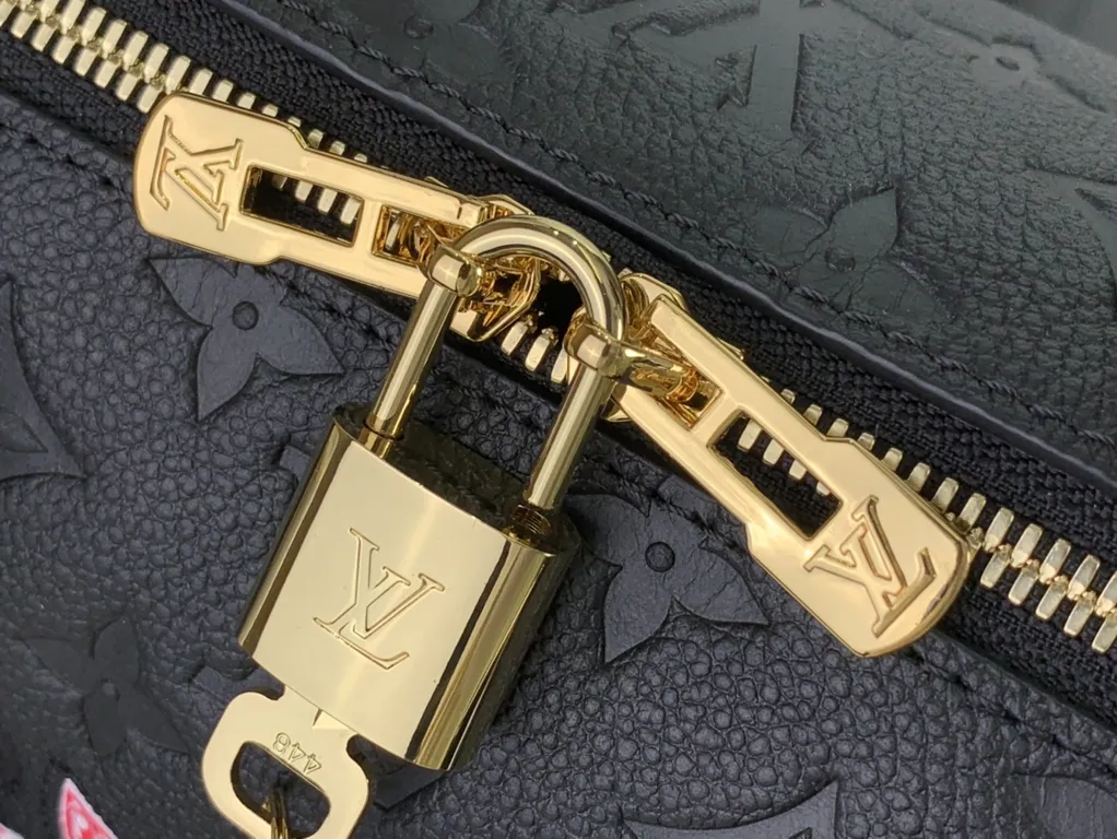 Louis Vuitton bag - LITELUX