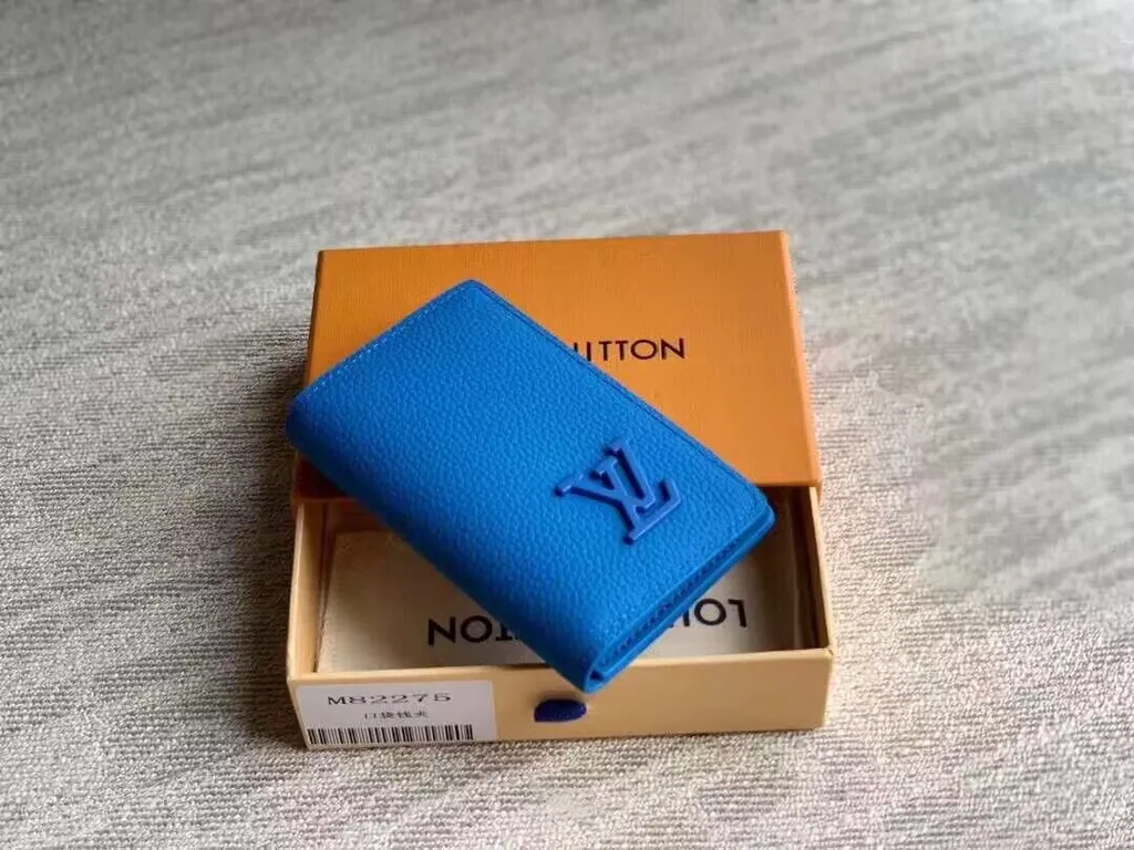 Louis Vuitton bag - LITELUX