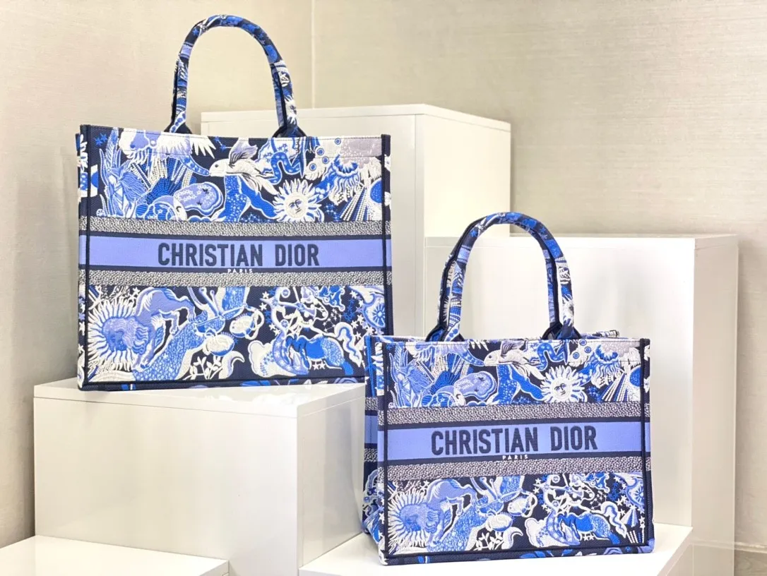 Dior Bag  – 118287371 - LITELUX