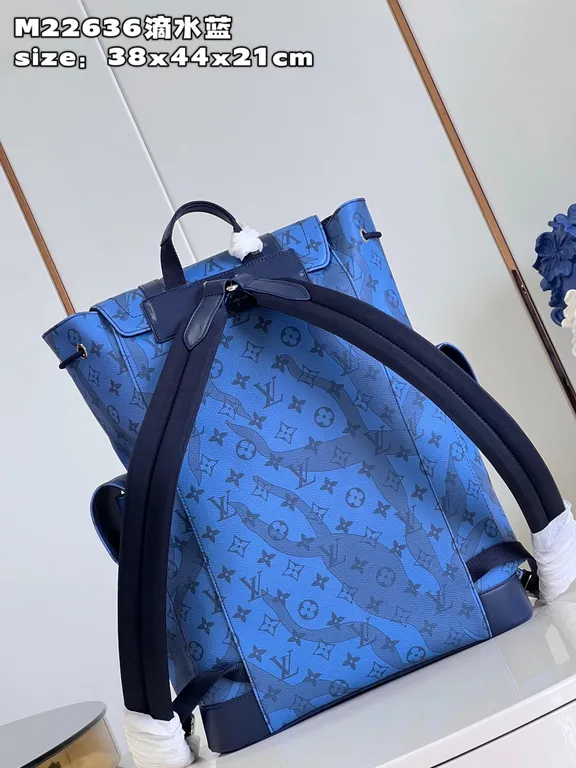 Louis Vuitton bag - LITELUX