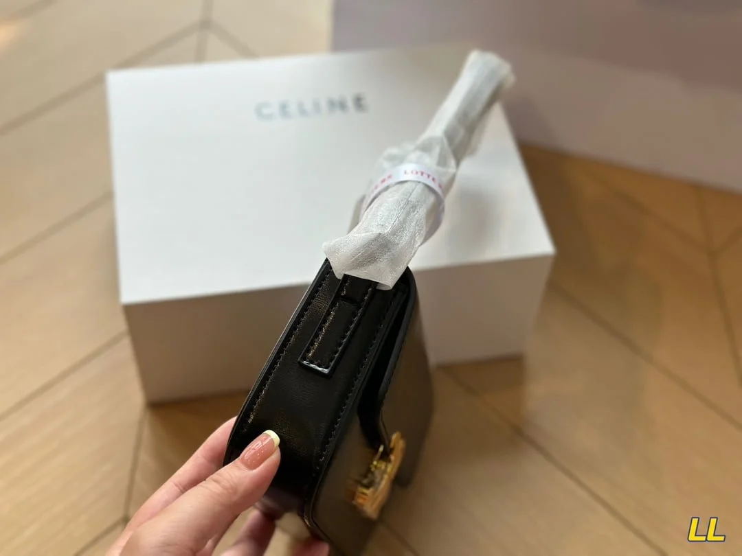 CELINE TRIOMPHE Crossbody bag Black/White/Brown/red  20cm - LITELUX