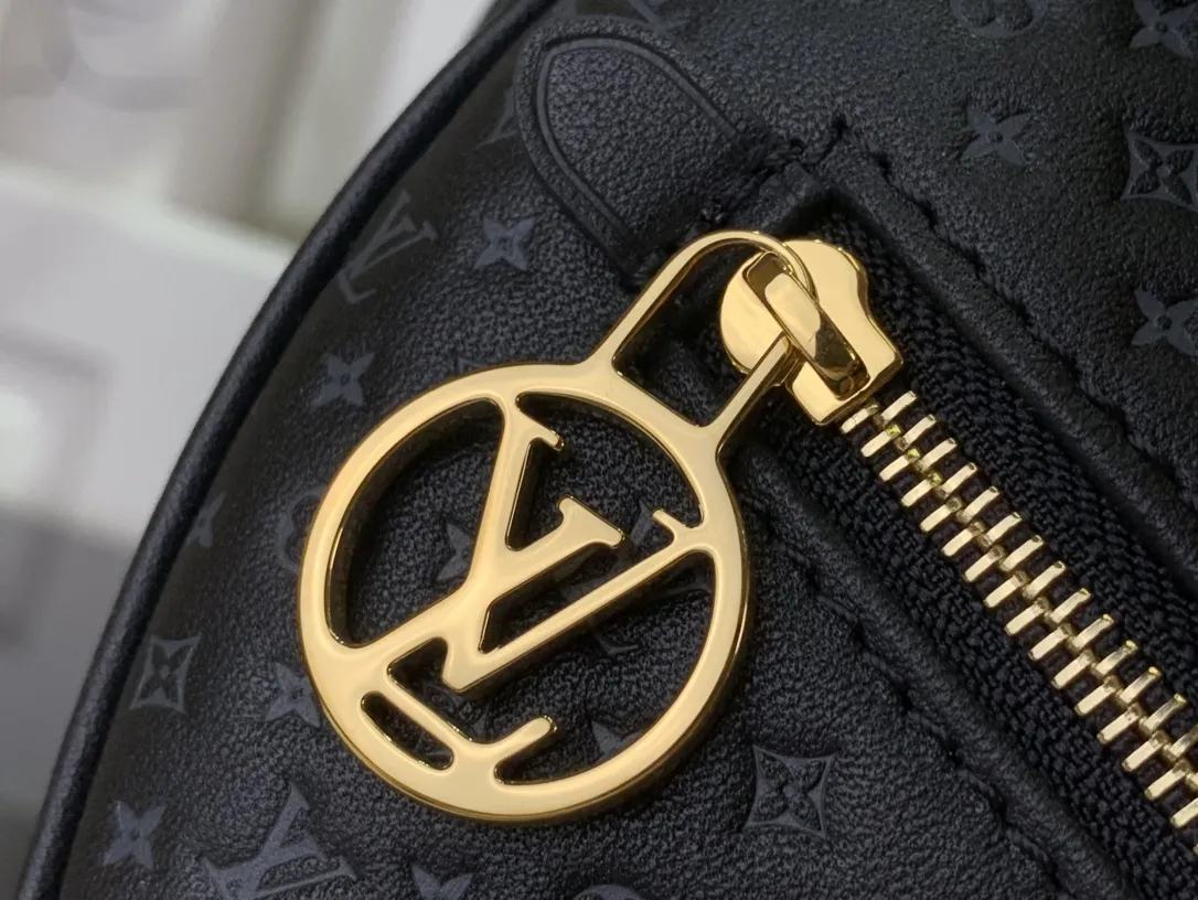 Louis Vuitton bag - LITELUX