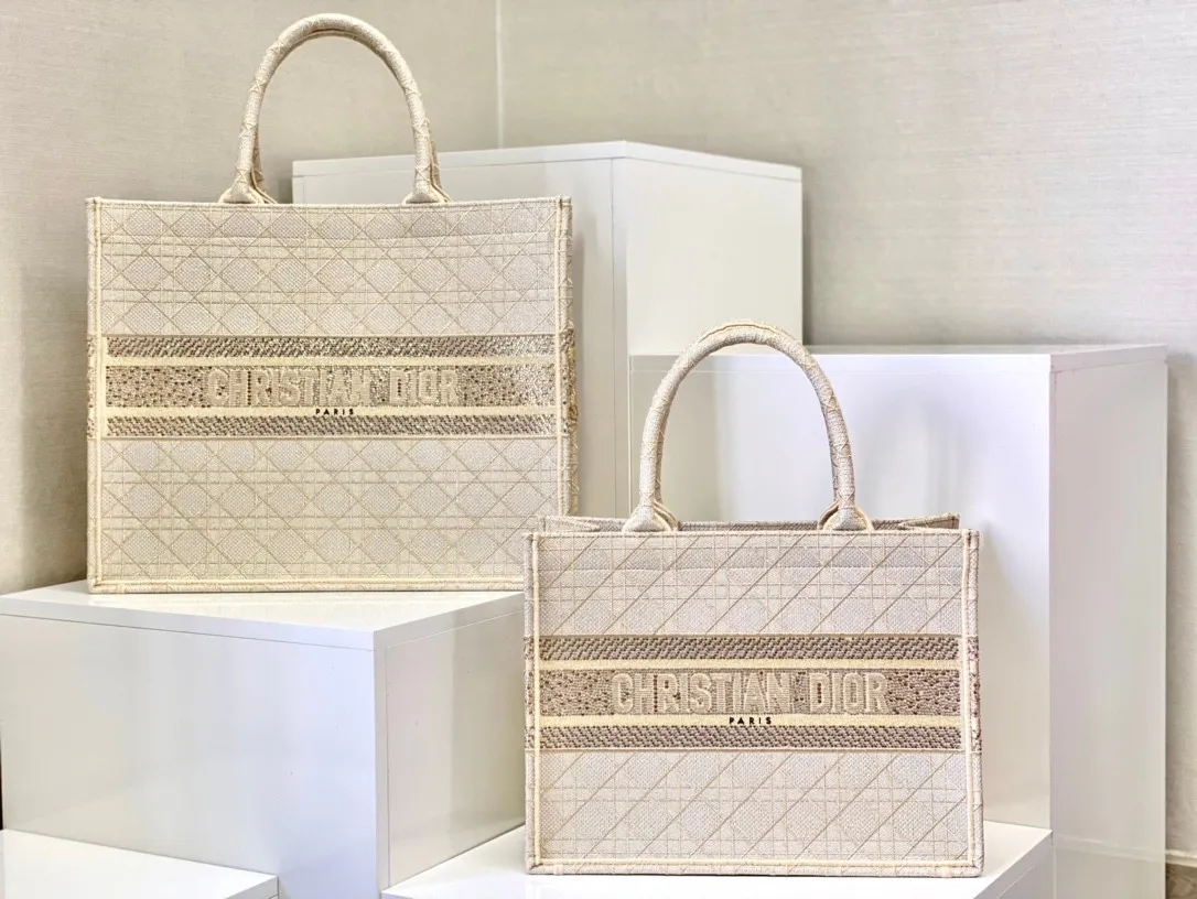 Dior Bag  – 118287466 - LITELUX