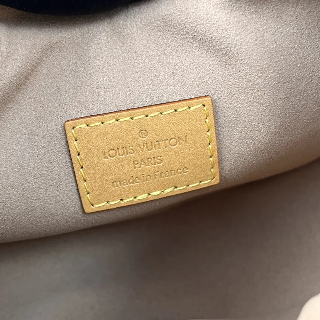 Louis Vuitton bag - LITELUX