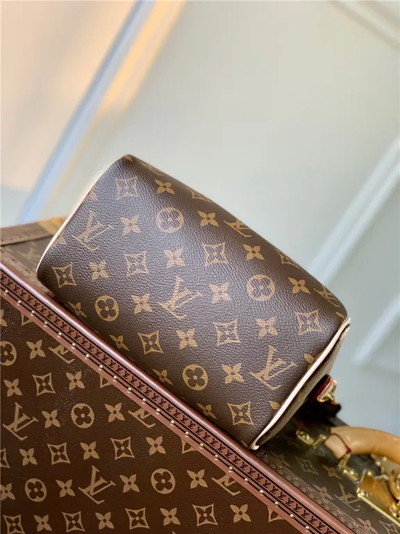 Louis Vuitton Bag - LITELUX