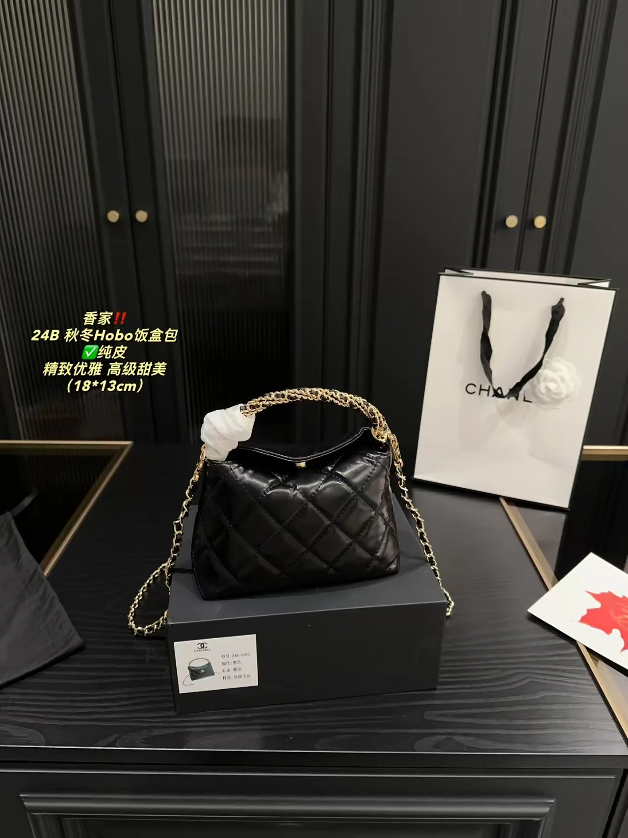 2024 Chanel bag hobo - LITELUX