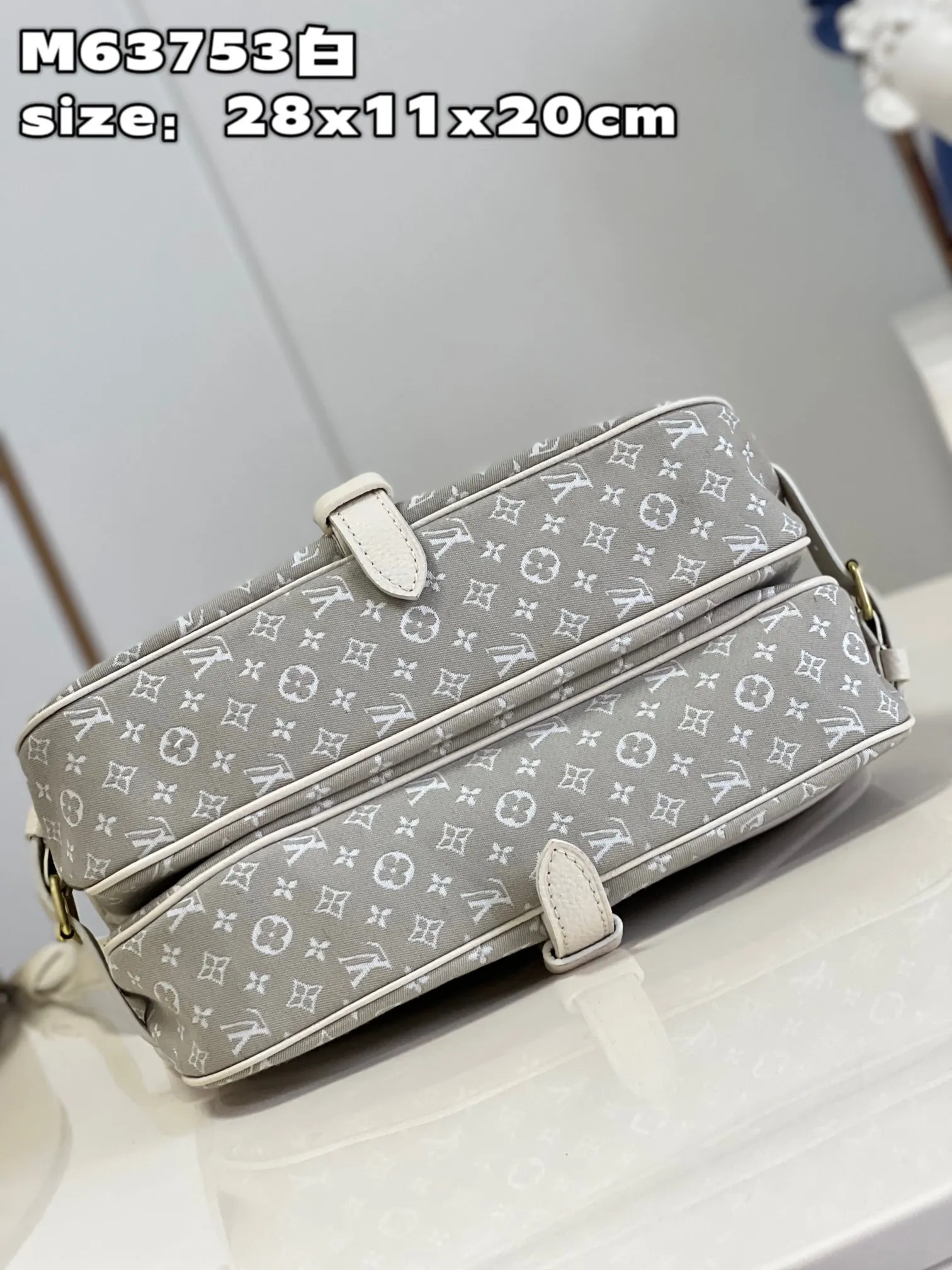 Louis Vuitton bag - LITELUX