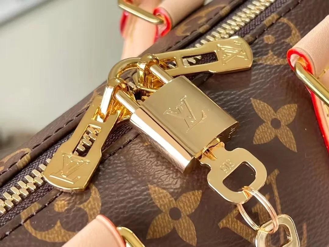 2025 Louis vuitton Speedy Bandoulière 20 - LITELUX