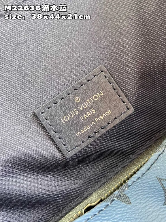 Louis Vuitton bag - LITELUX