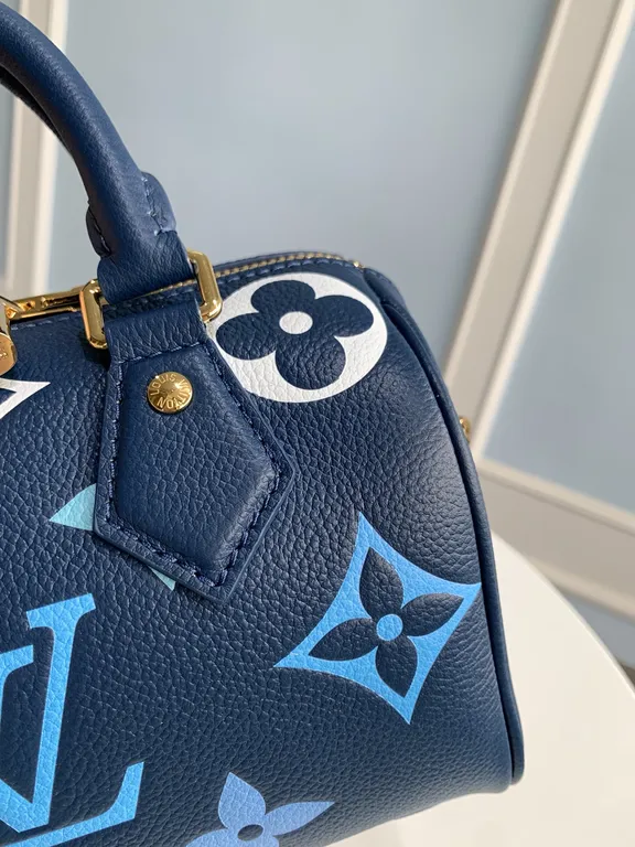 Louis Vuitton bag - LITELUX