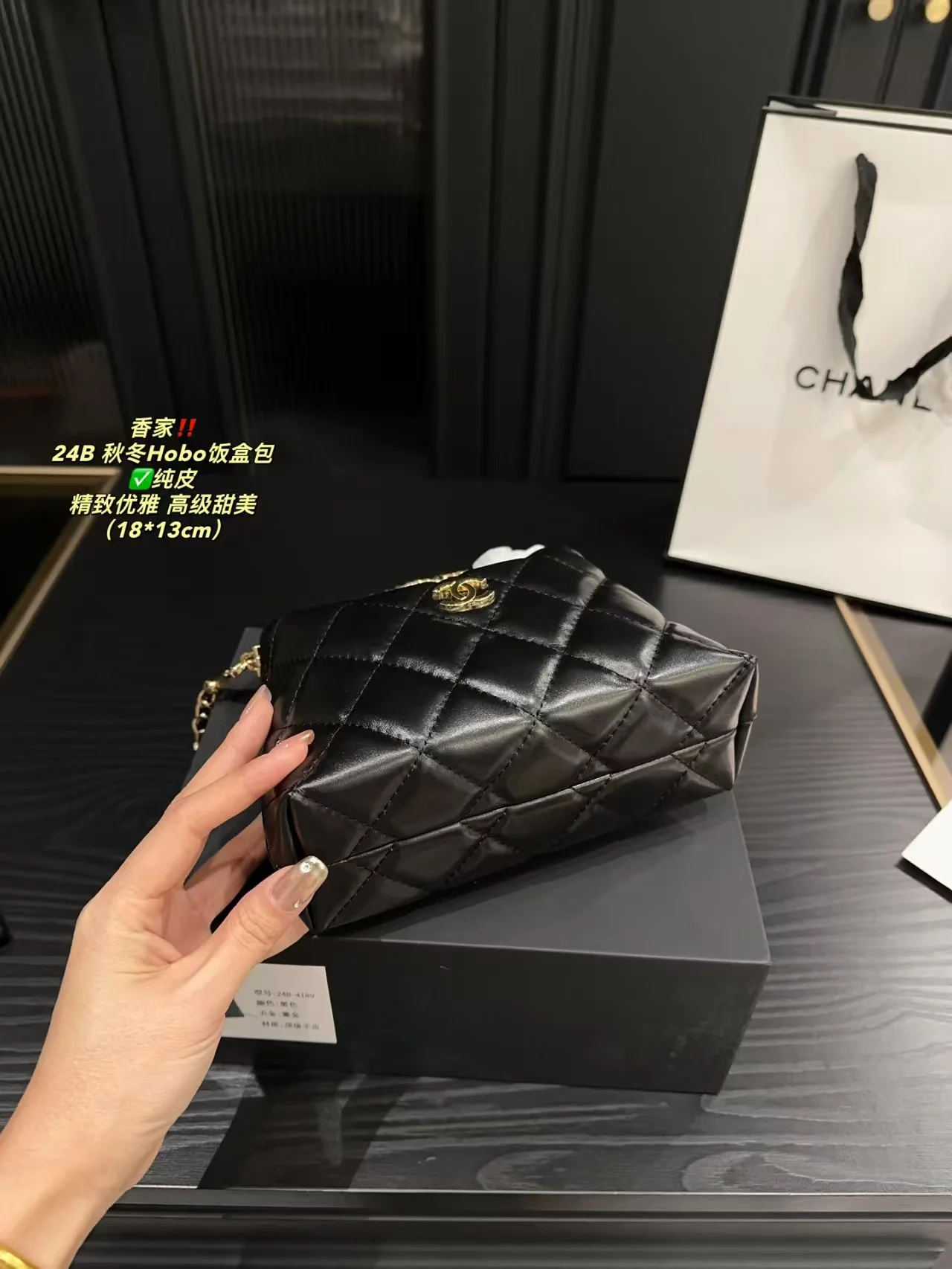 2024 Chanel bag hobo - LITELUX