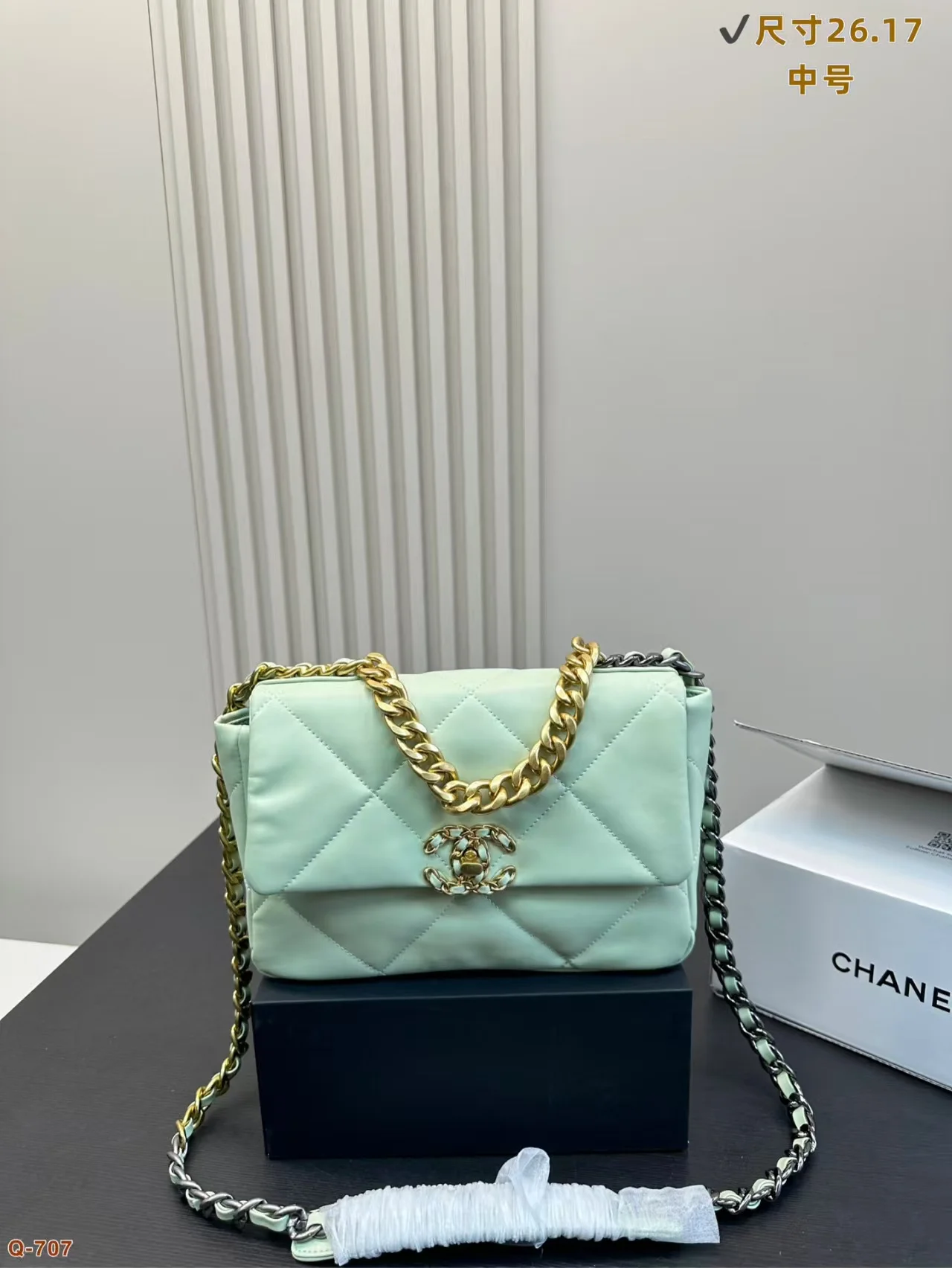 2024 Chanel 19 Woc bag - LITELUX
