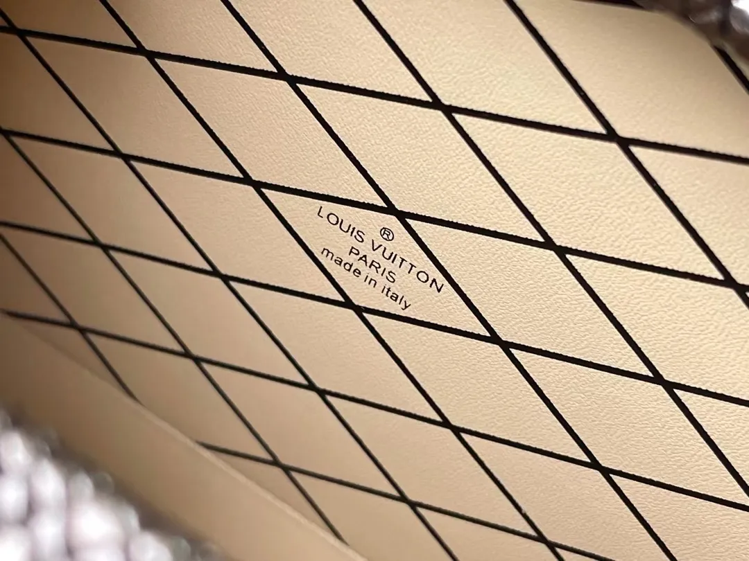 Louis Vuitton bag - LITELUX