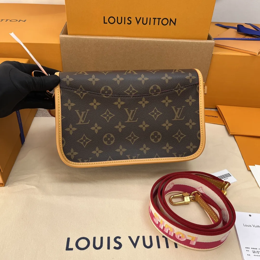 Louis Vuitton bag - LITELUX