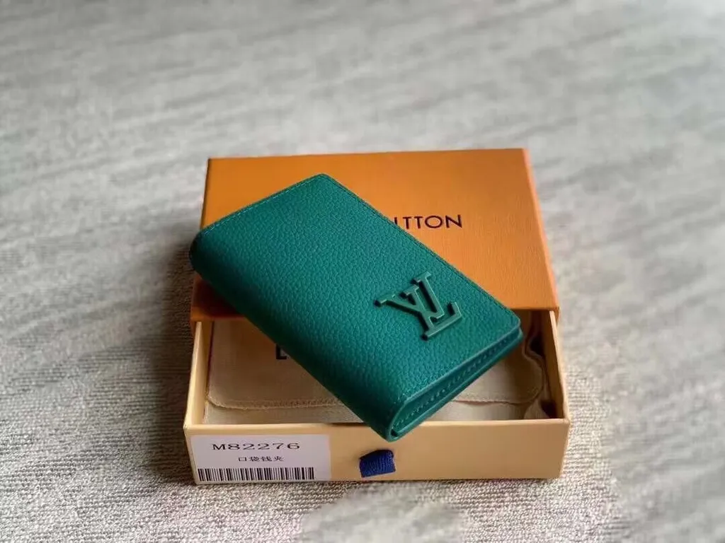 Louis Vuitton bag - LITELUX