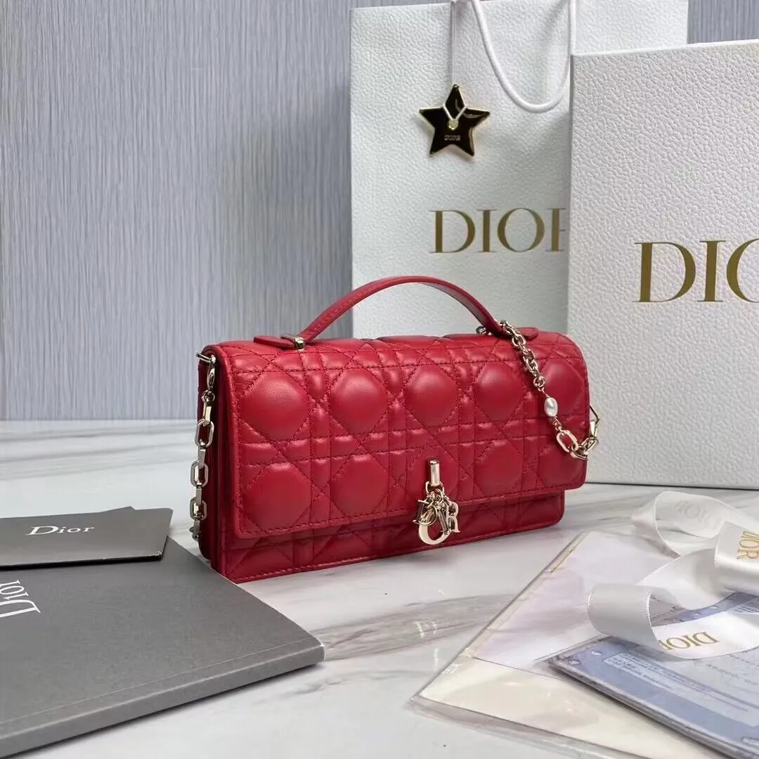 Dior bag - LITELUX