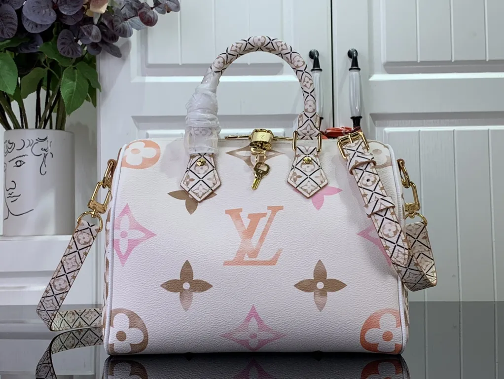 Louis Vuitton bag - LITELUX