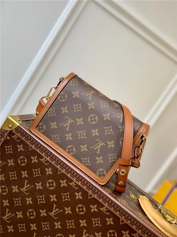 Louis Vuitton Bag - LITELUX
