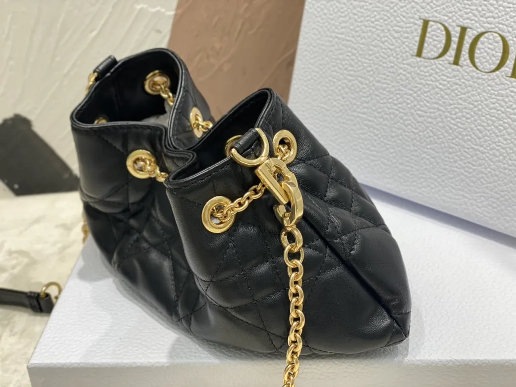 Dior bag - LITELUX