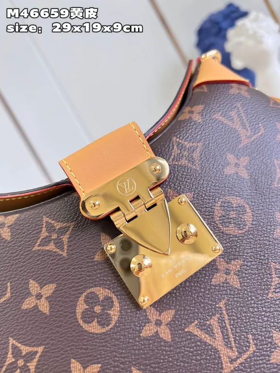 Louis Vuitton bag - LITELUX