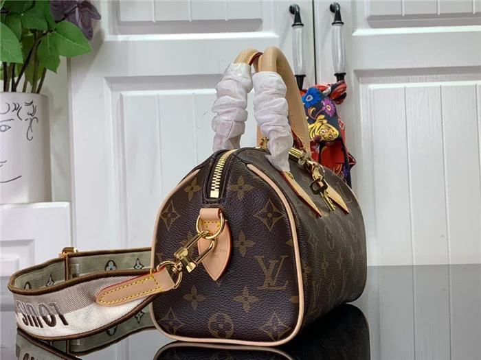 Louis Vuitton Bag - LITELUX